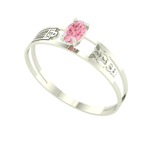 Anel Formatura Aro Duplo Oval Ciências Contábeis Ouro Branco 18k