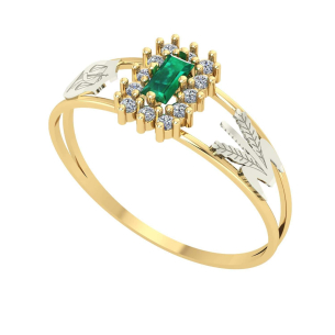 Anel Formatura Baguete Nutrição Ouro 18k