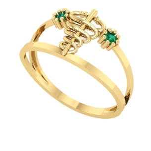 Anel Formatura Medicina Cobra Aro Duplo Ouro 18k