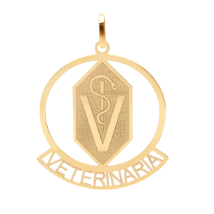 Pingente Profissão Veterinária Ouro 18k